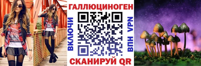Псилоцибиновые грибы прущие грибы  Гвардейск 
